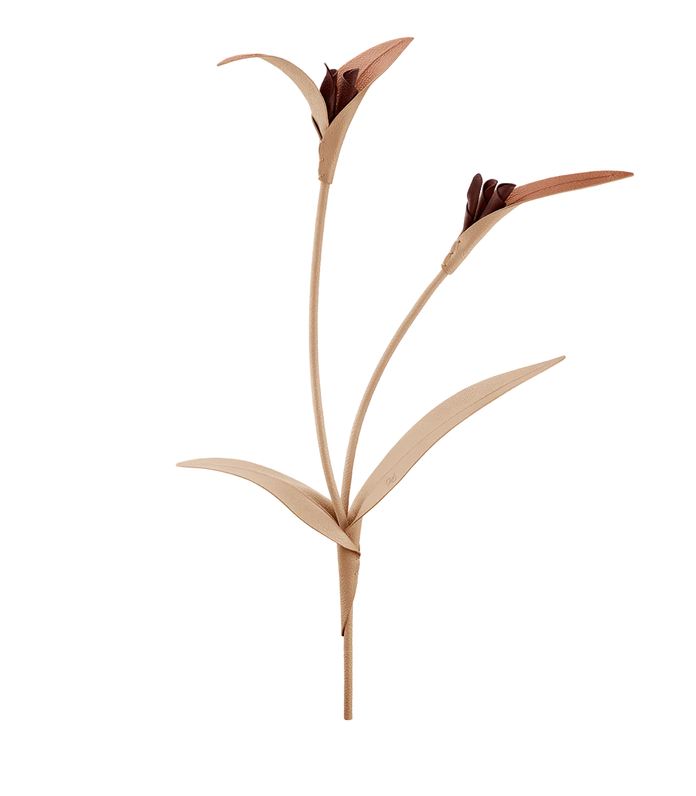 Miniaturebillede 1