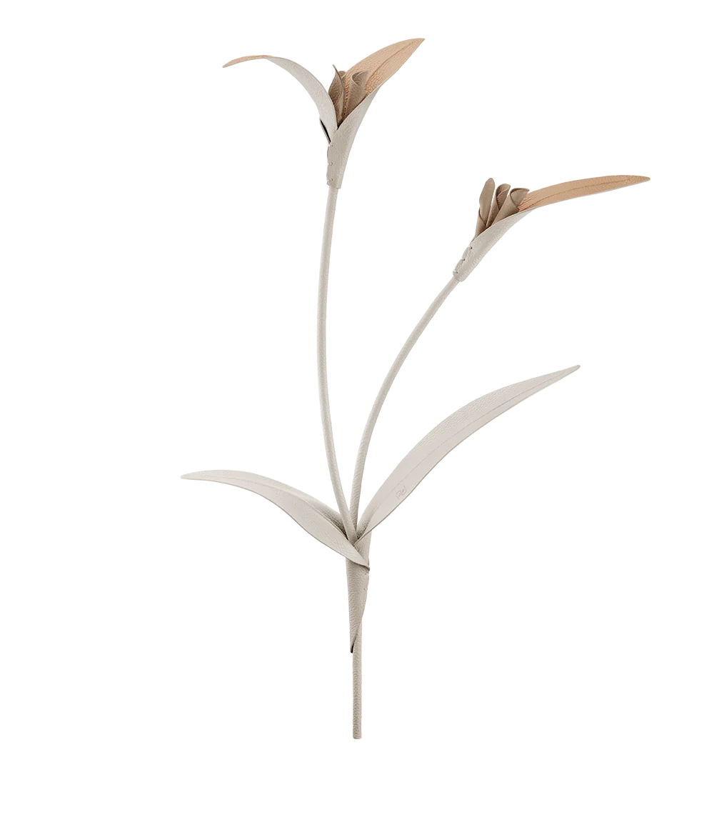 Miniaturebillede 1