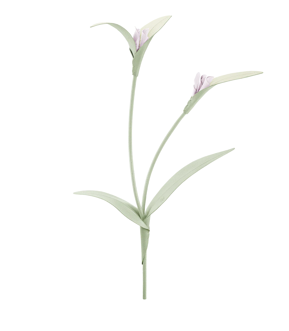 Miniaturebillede 1