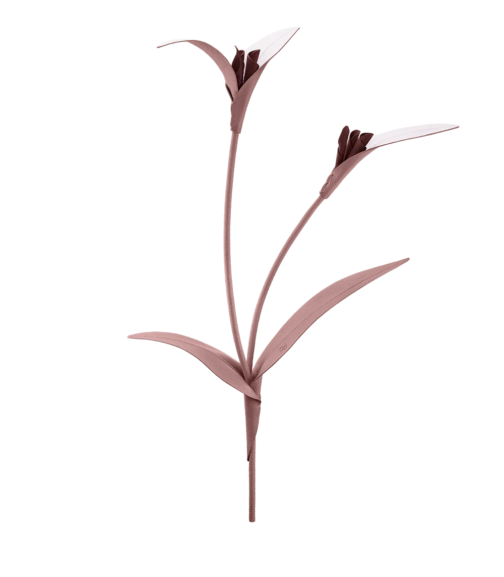Miniaturebillede 1