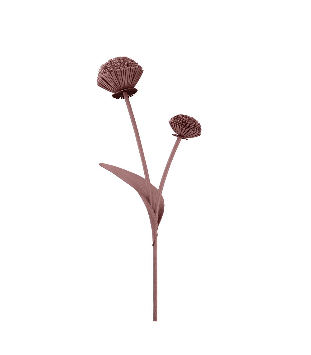 Miniaturebillede 1