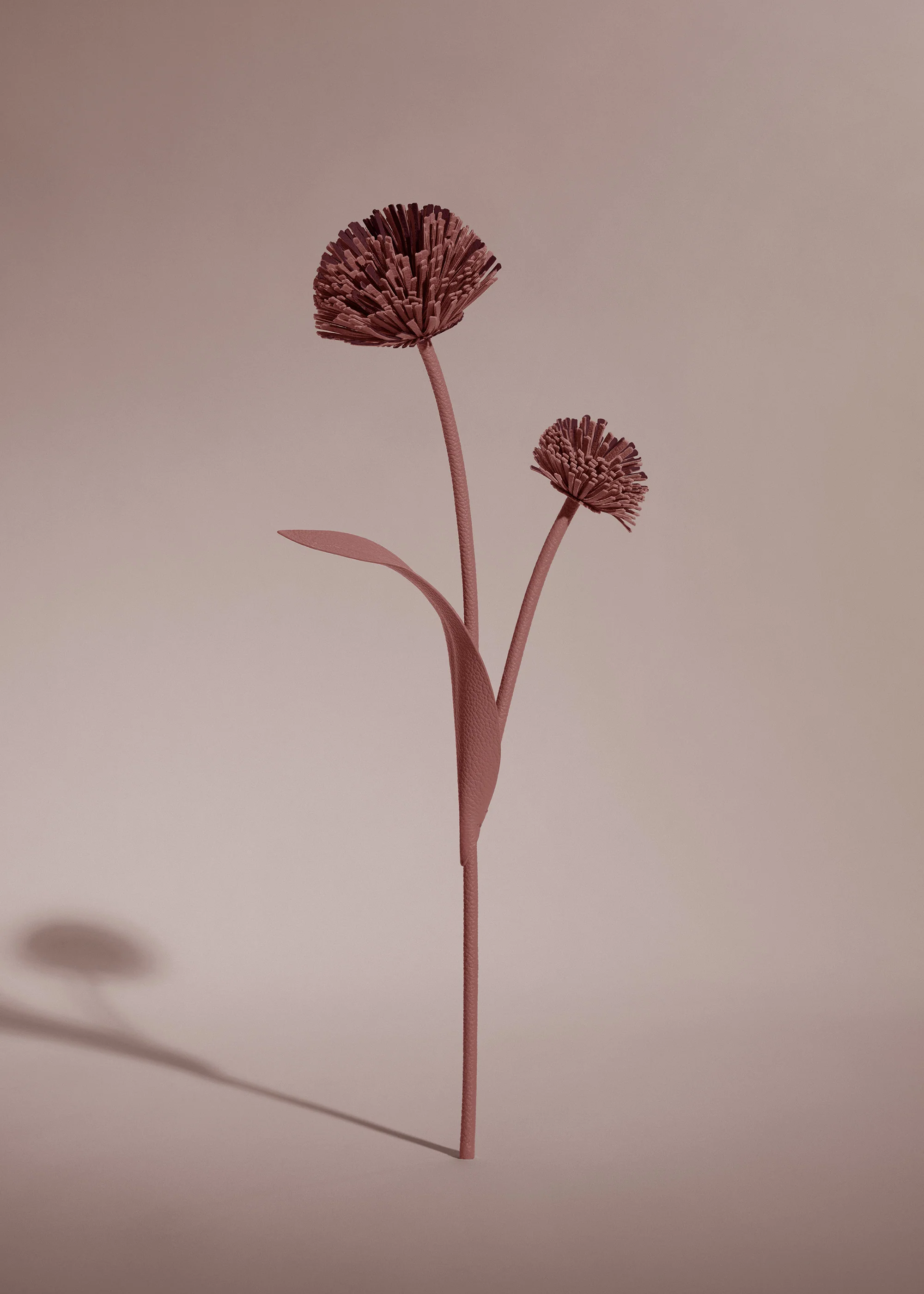 Miniaturebillede 2
